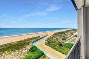 Plage, chaises longues