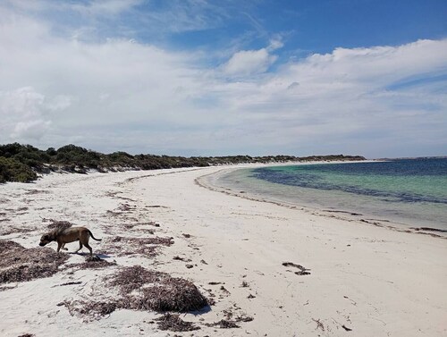Eden on Todd -Villa BNB Continental Breakfast mins from Tumby beach