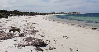 Eden on Todd -Villa BNB Continental Breakfast mins from Tumby beach