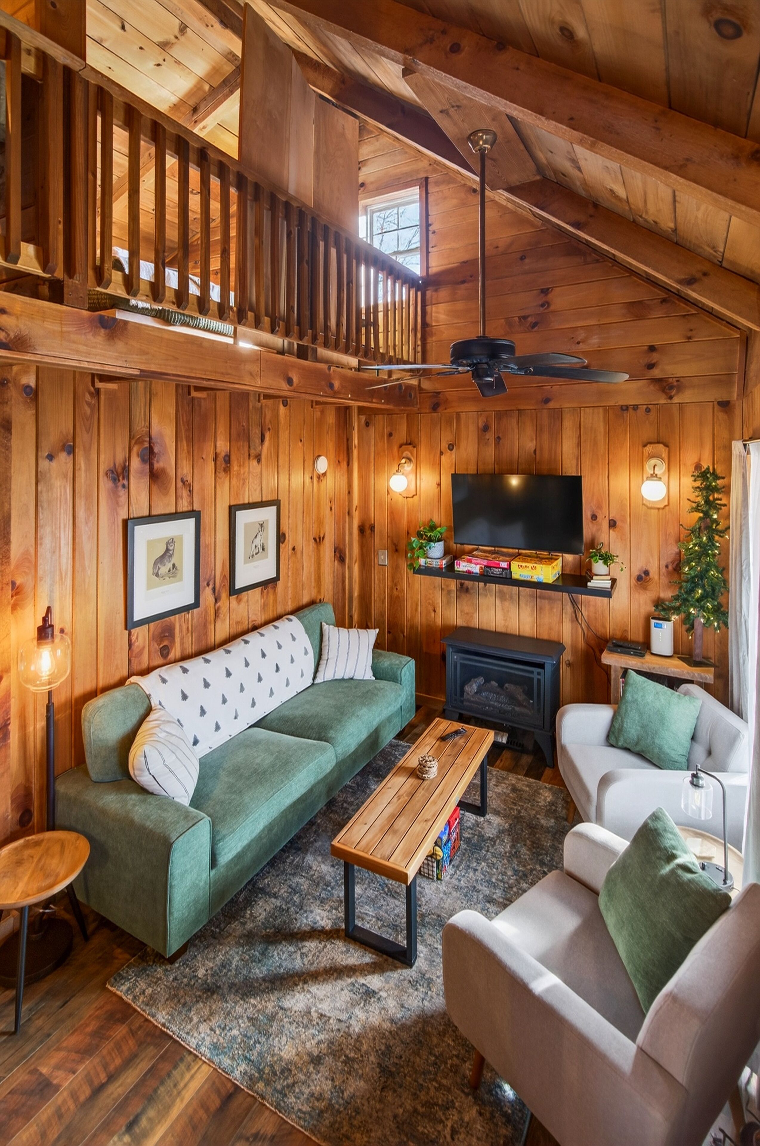 Älytelevisio, takka, DVD-soitin, kirjoja