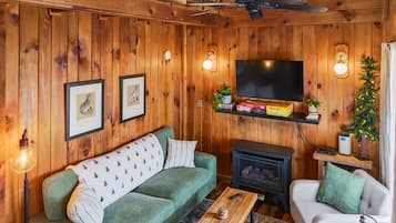 Älytelevisio, takka, DVD-soitin, kirjoja