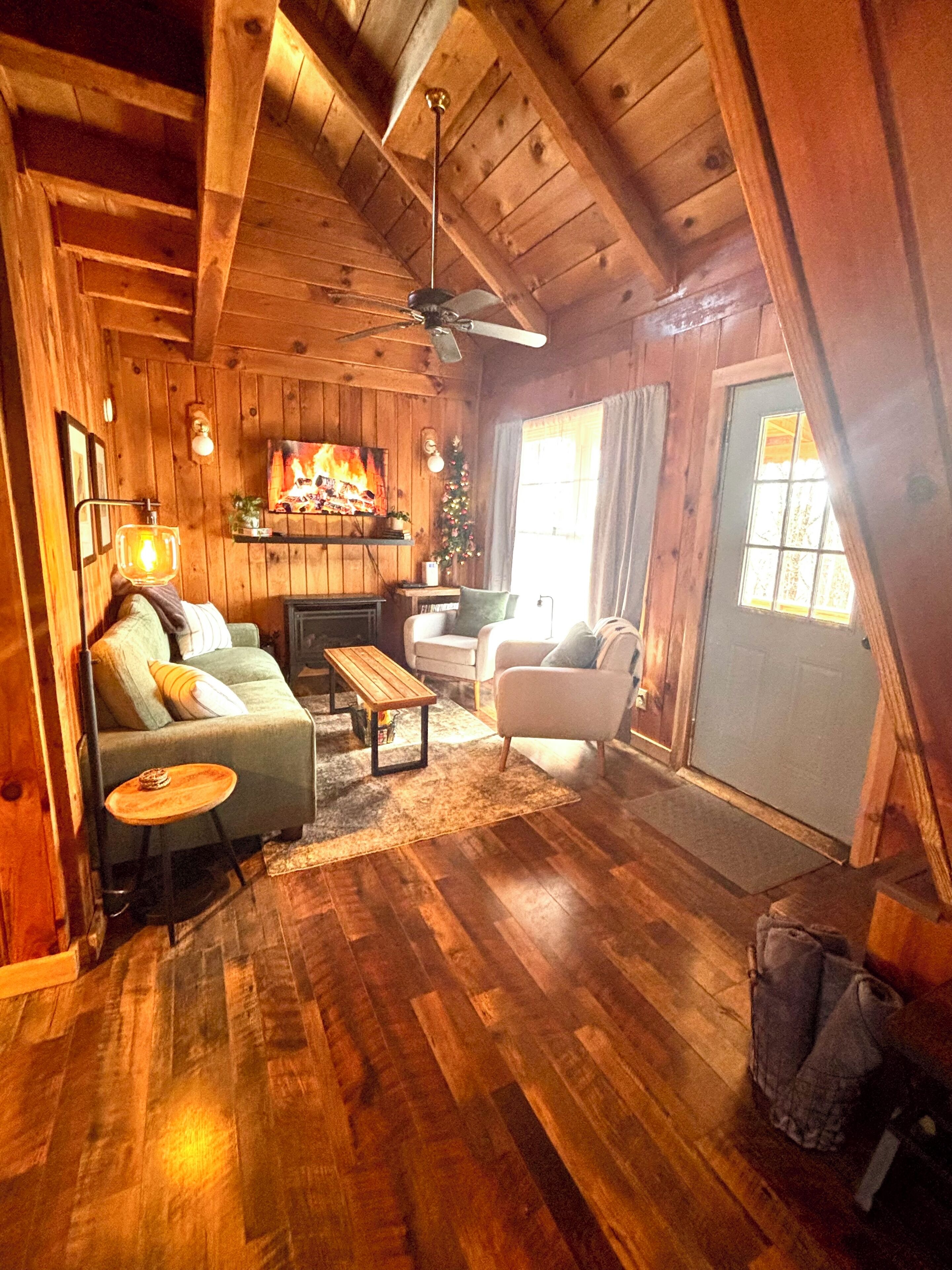 Smart TV, chimenea, reproductor de DVD y libros 