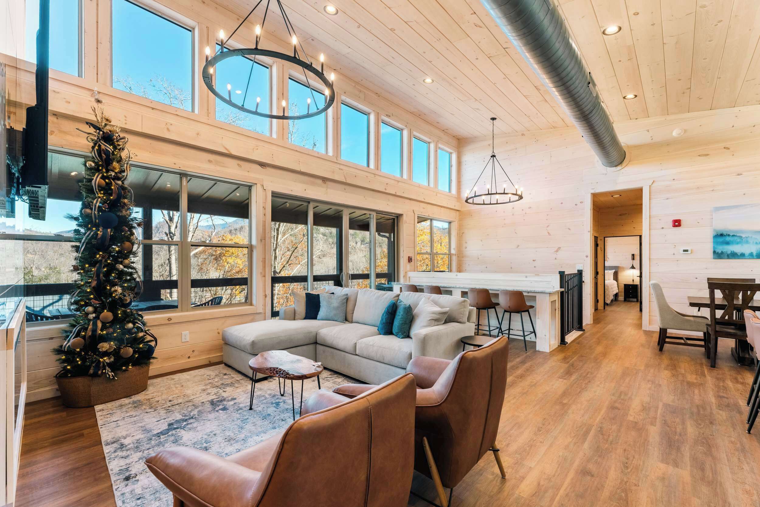 Télévision, cheminée, jeux vidéo