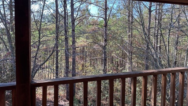 Une vue depuis un balcon en bois donnant sur une zone boisée, avec de grands arbres et un ciel dégagé.