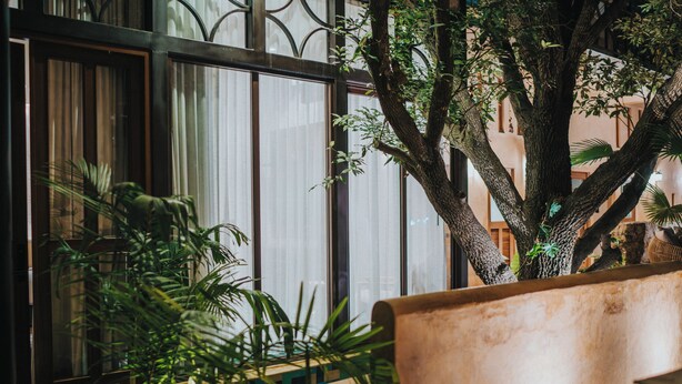 Una habitación con un gran ventanal, un banco de madera y diversas plantas de interior.