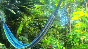 Una hamaca en un jardín exuberante con guijarros y plantas tropicales.