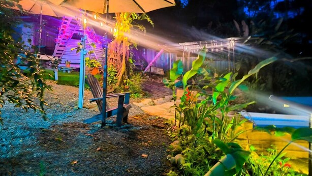 Un área de jardín al aire libre con un paraguas grande, un banco de madera y diversas plantas.
