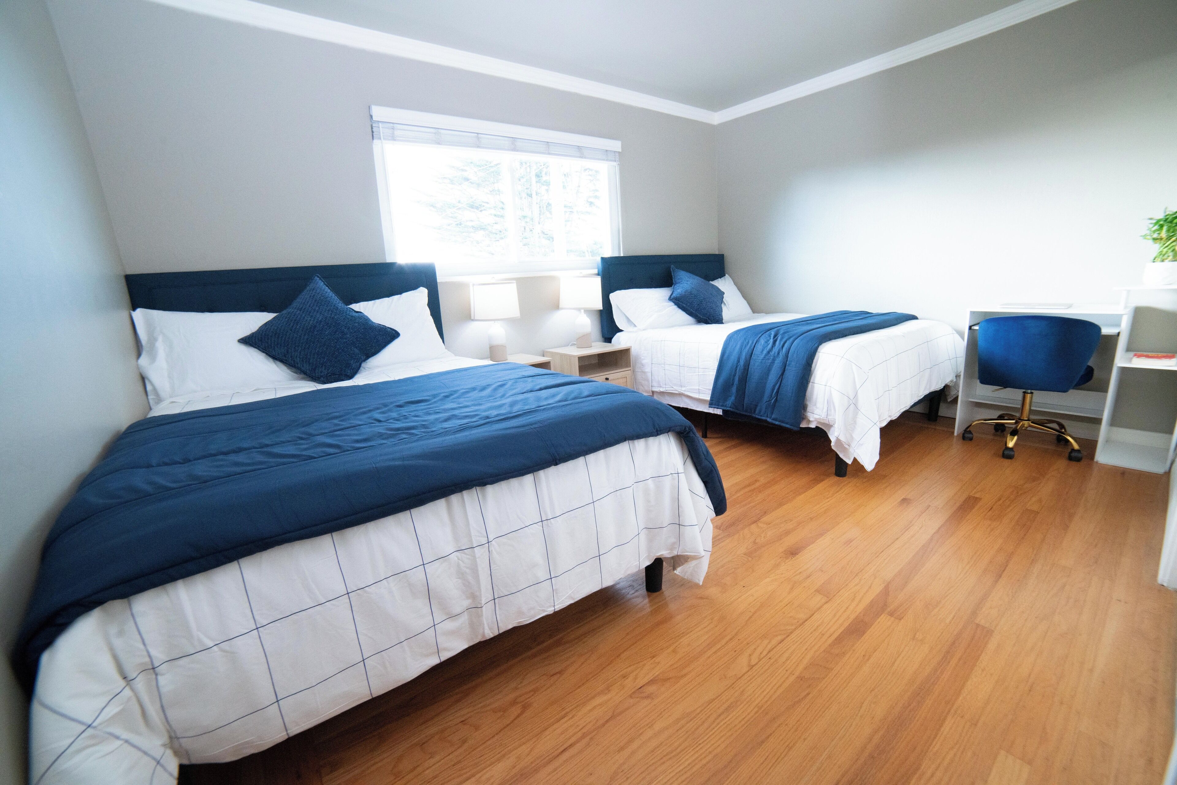 Internet, bed sheets