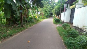 Ein gepflasterter Weg, gesäumt von üppigem Grün und einem weißen Gebäude mit einem befestigten Eingang.