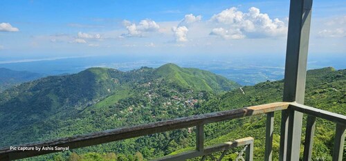 TEA NEST CAFE ND HOMESTAY