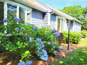 Exterior detail - Modern Oasis. Private Heated Saltwater Pool. Huge Lounge Deck. Beach Golf Bike. (Dennis)