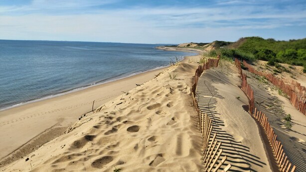 Una playa arenosa con huellas y una valla de madera.