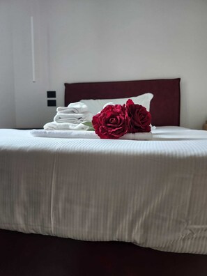 Premium bedding, down duvets, memory-foam beds, desk - DIMORA IN PRATO (Padova)