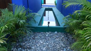 A narrow pathway flanked by blue walls and green plants leading to a door. - The Tiger Waterfront Resort (Puranpur)