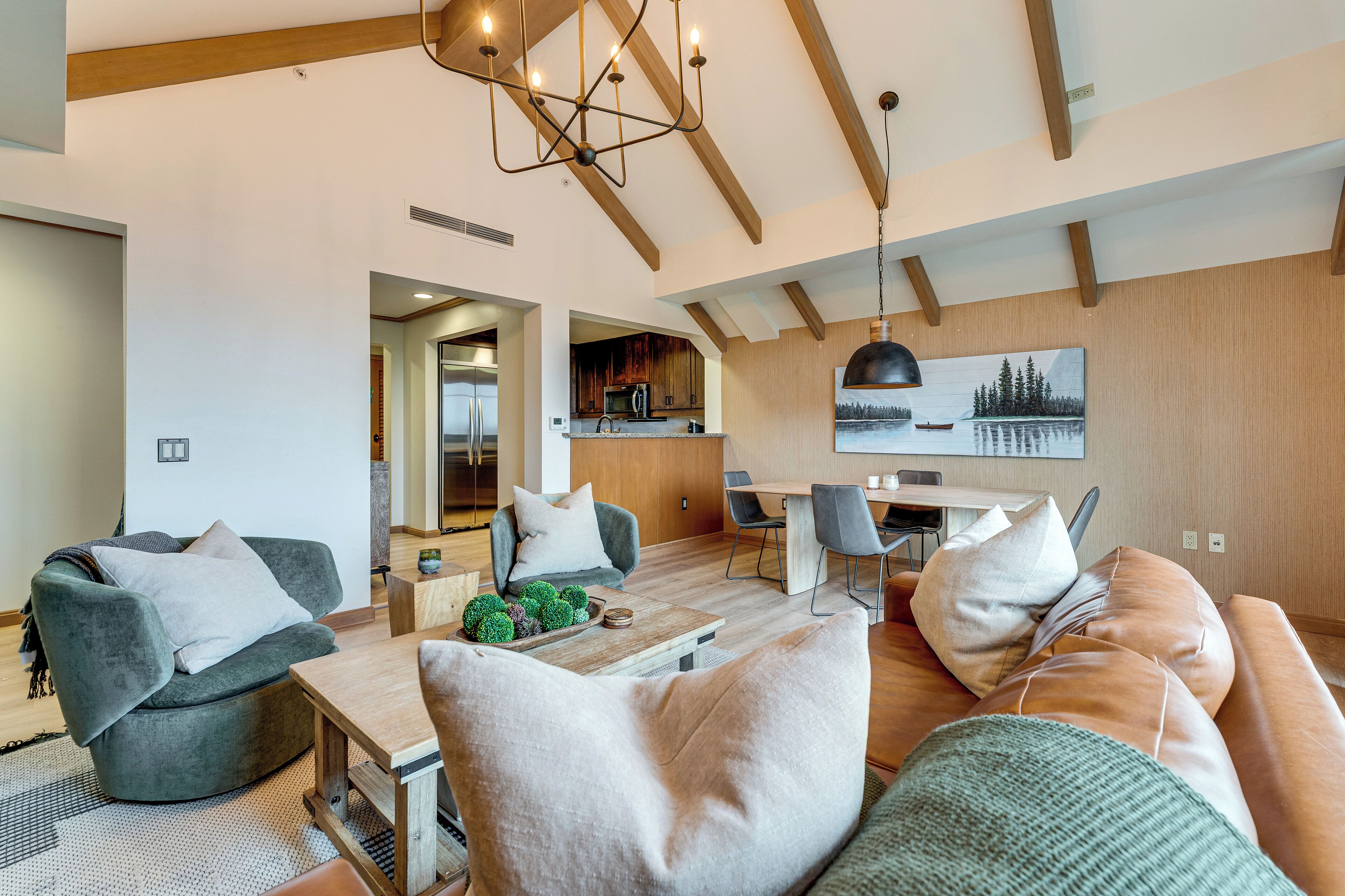 TV, fireplace, books