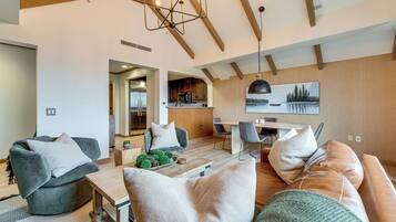 TV, fireplace, books