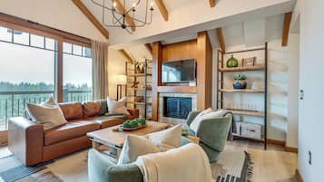 TV, fireplace, books