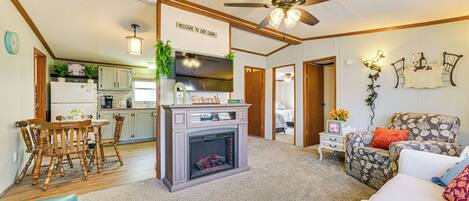 TV, fireplace, DVD player, books