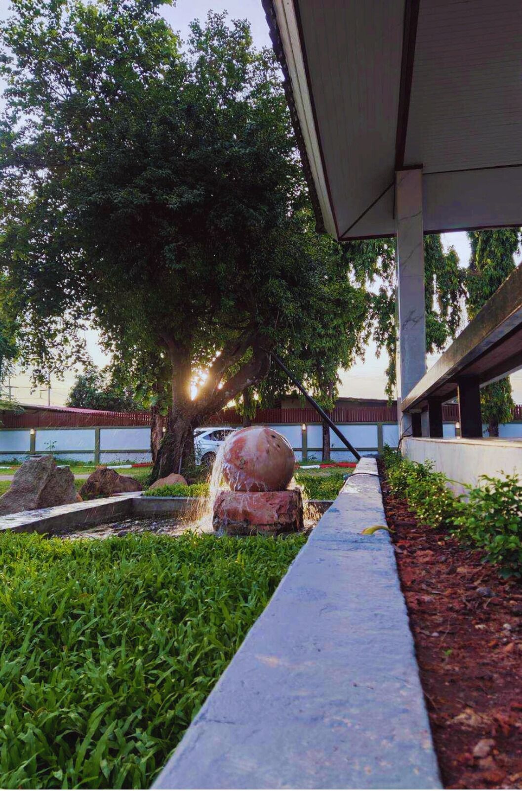 A landscaped garden with a water feature, a large tree, and a pathway under a covered structure.
