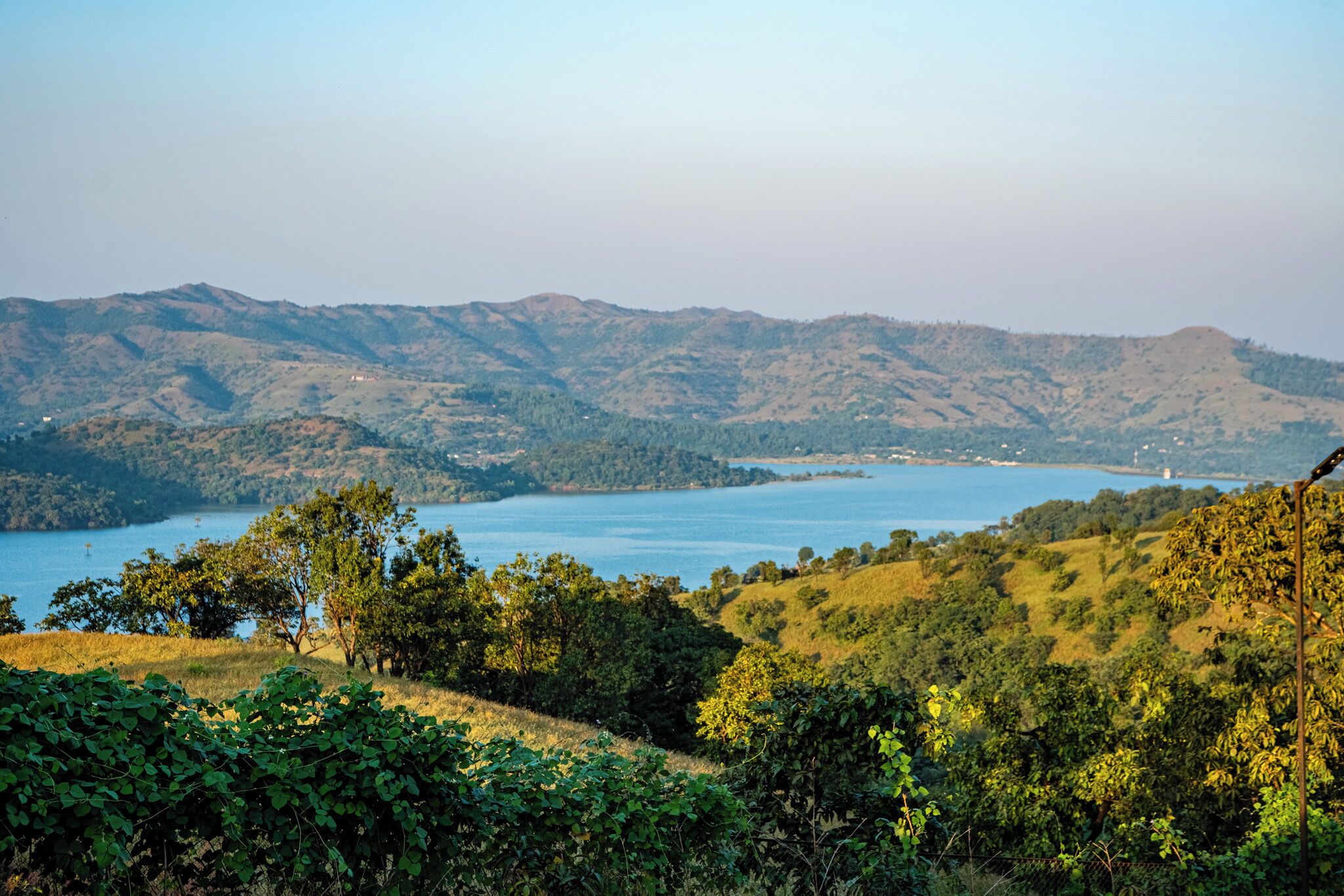 Vista panorámica de un lago rodeado de colinas con vegetación densa en primer plano.