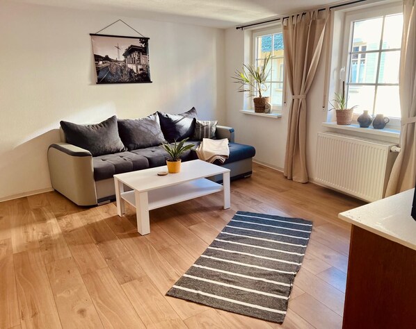 Fernseher