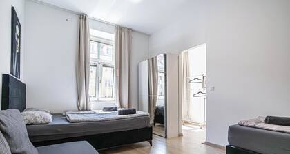 Cozy Budget 2BR Apartment Vienna