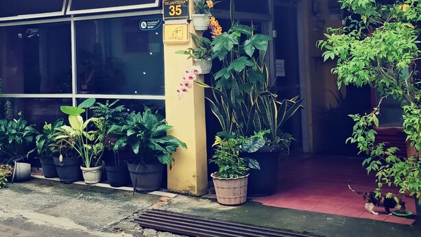 A building with a yellow awning, potted plants, and a sign indicating room number 35. - Penginapan Rumah Kuning Syariah (Bogor)