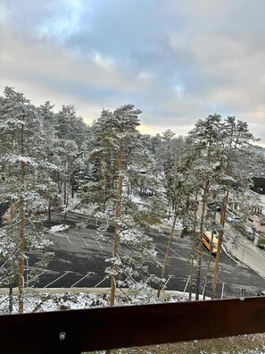 Un parking avec des arbres couverts de neige et, au loin, on aperçoit un bâtiment.