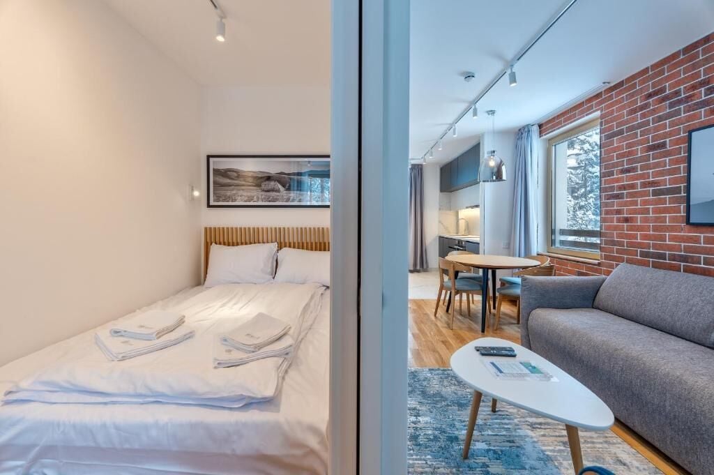 Deluxe Apartment, Balcony, City View | Iron/ironing board, free WiFi