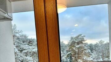 Deluxe Apartment, Balcony, City View | Balcony