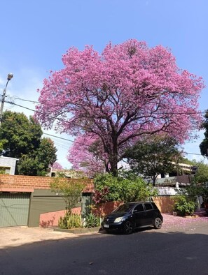 Property grounds - Taguato B&B 05 - Asunción (Asunción)