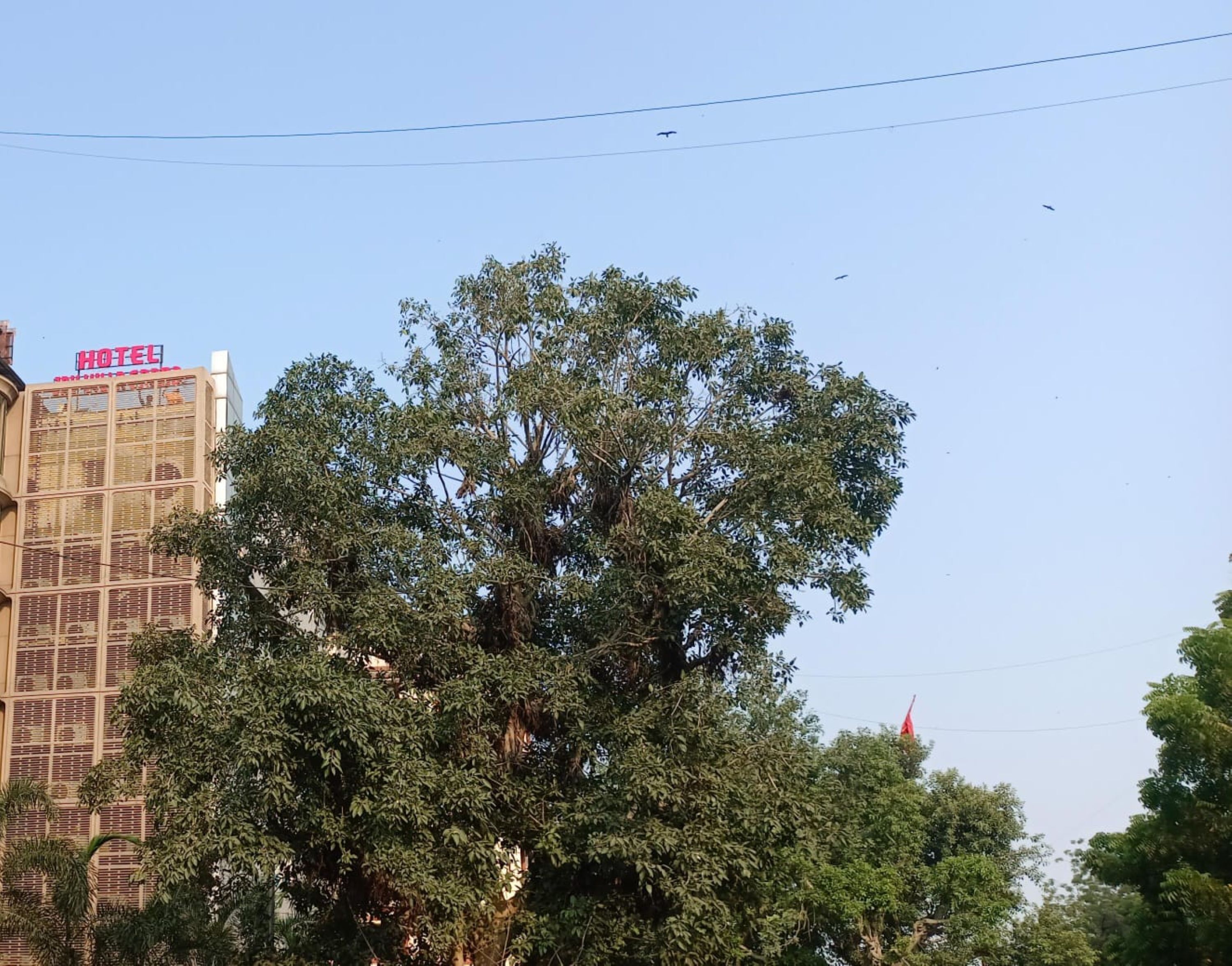 Façade de l’hébergement 