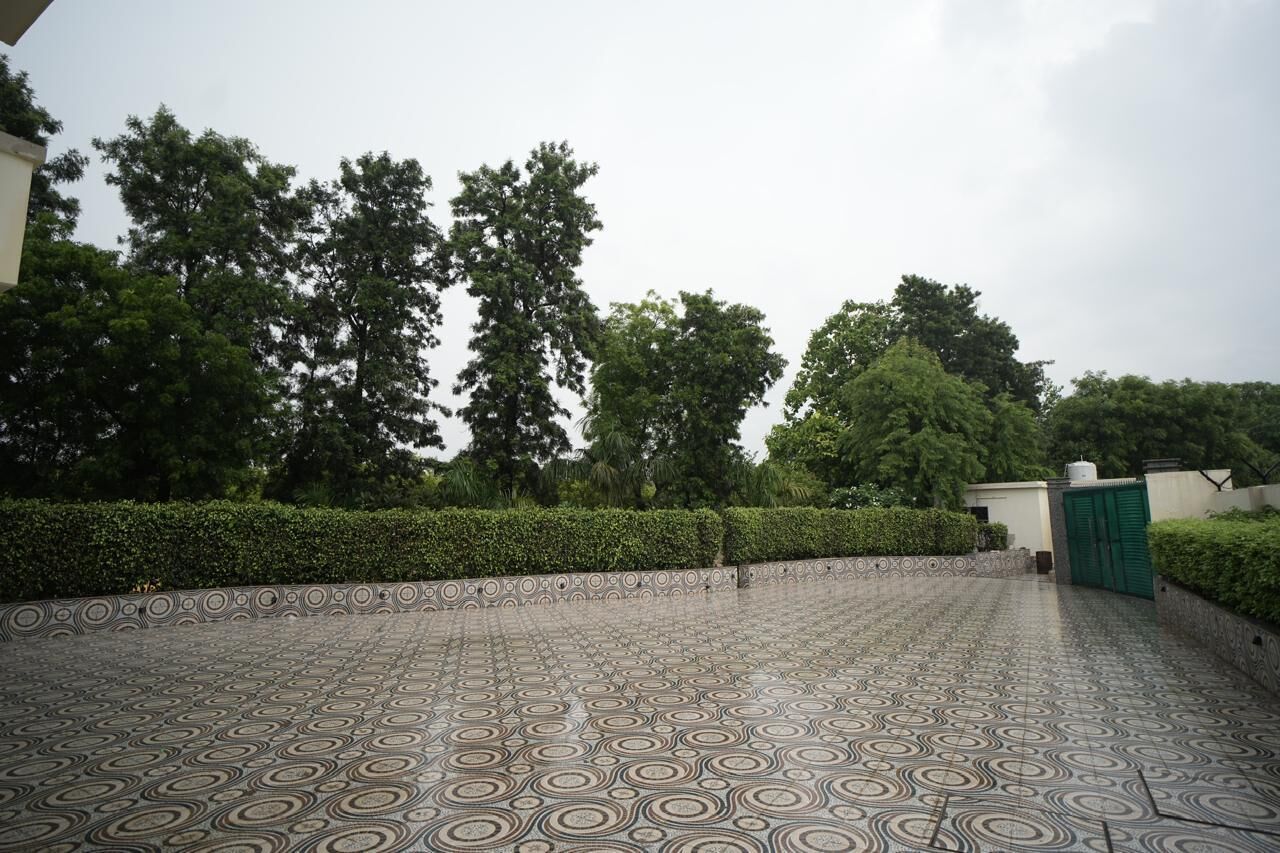 A paved walkway with a patterned tile design, bordered by a low hedge and a wall with a decorative pattern.