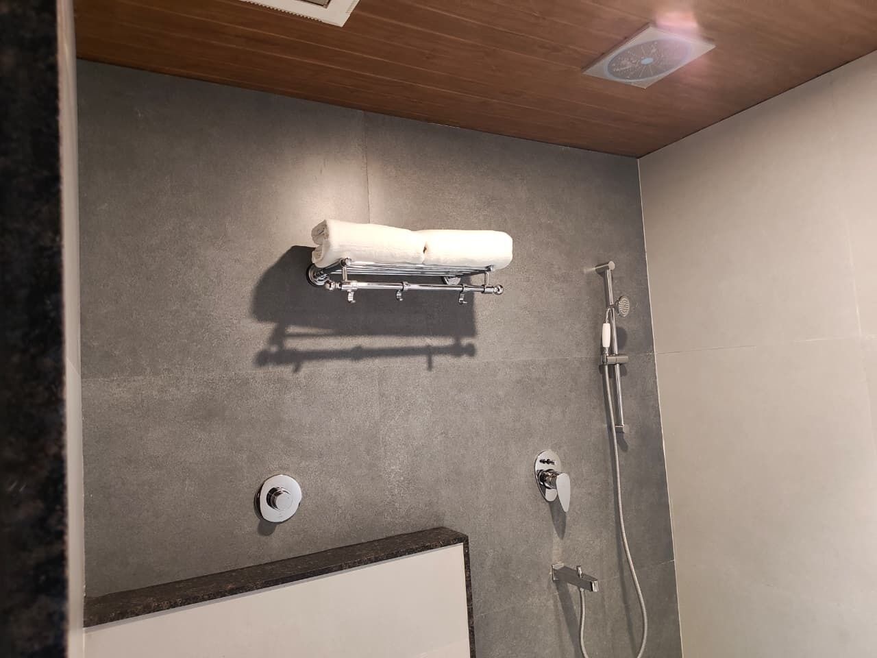 Un baño con toallero, ducha e inodoro.