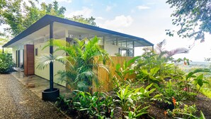 Une maison moderne avec une façade en verre, entourée d’une végétation luxuriante et bordée d’un chemin de gravier.