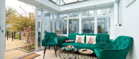 TV connectée, cheminée, livres