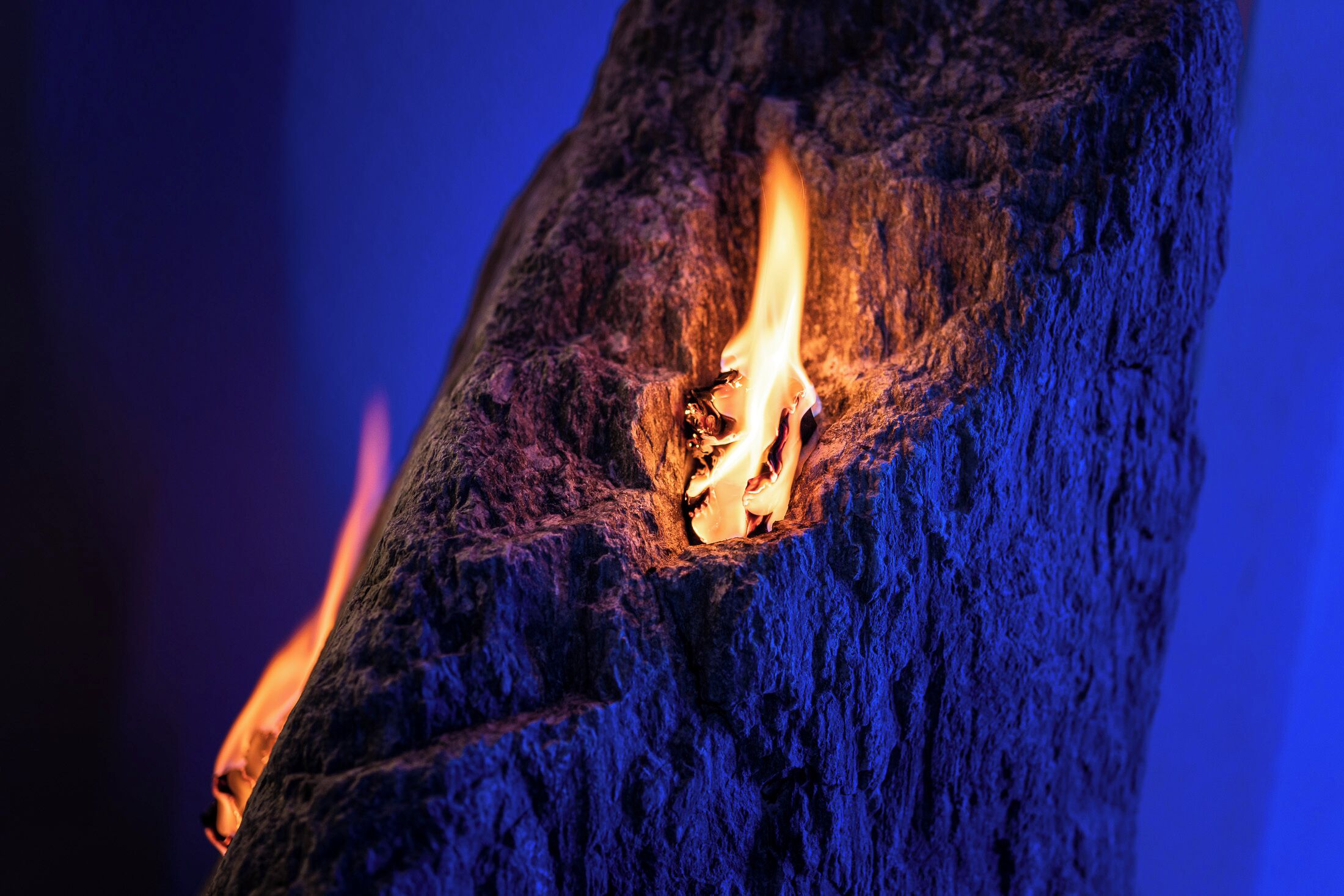A close-up of a tree trunk with a fire burning through it.