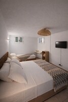 Un dormitorio con dos camas, un televisor, una estantería y una lámpara de techo.