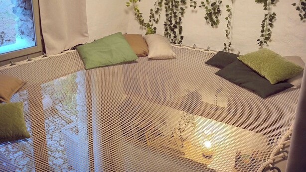 A room with a bed, a TV, and a wall covered with ivy. - Charming studio, suspended time, pets welcome (Malaucène)