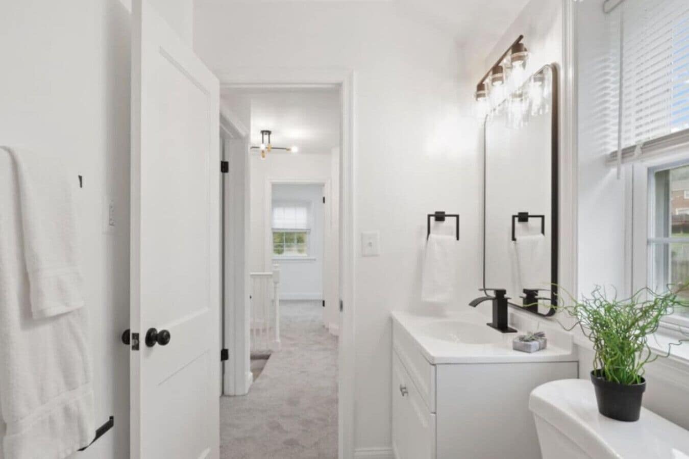 Shower, jetted tub, hair dryer