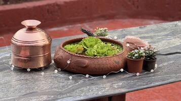 A copper pot, a terracotta fish-shaped planter with green plants, and small potted succulents on a wooden table.