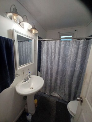 Shower, towels, toilet paper - Cozy 1-bedroom house in perfect Capitol Heights with AC (Capitol Heights)