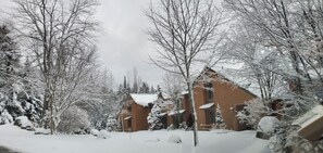 Exterior - 2-bedroom mountain getaway in Bretton Woods with A/C, family-pet friendly (Carroll)