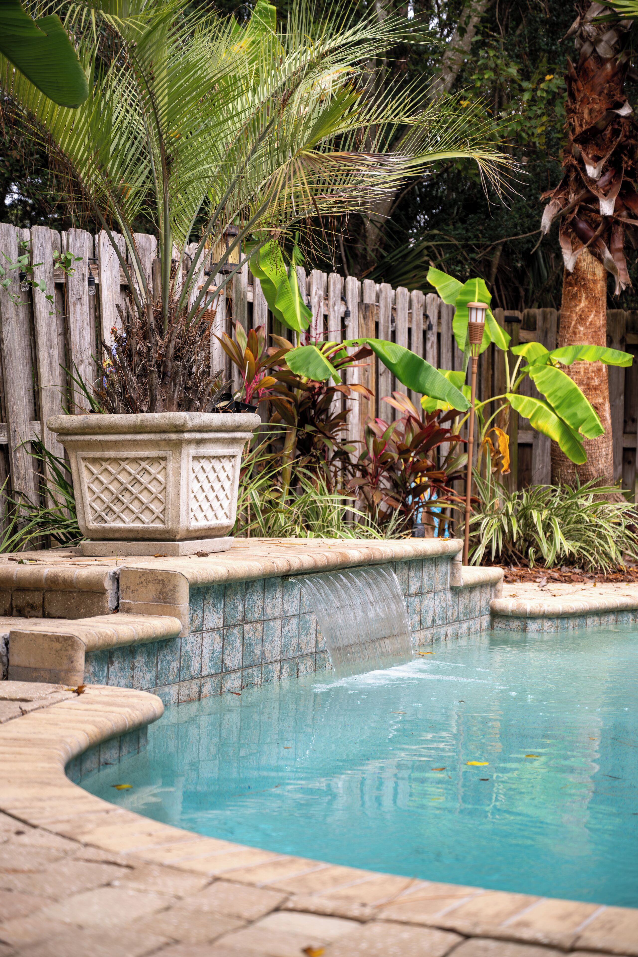 A swimming pool with a wooden fence, a planter, and various tropical plants.