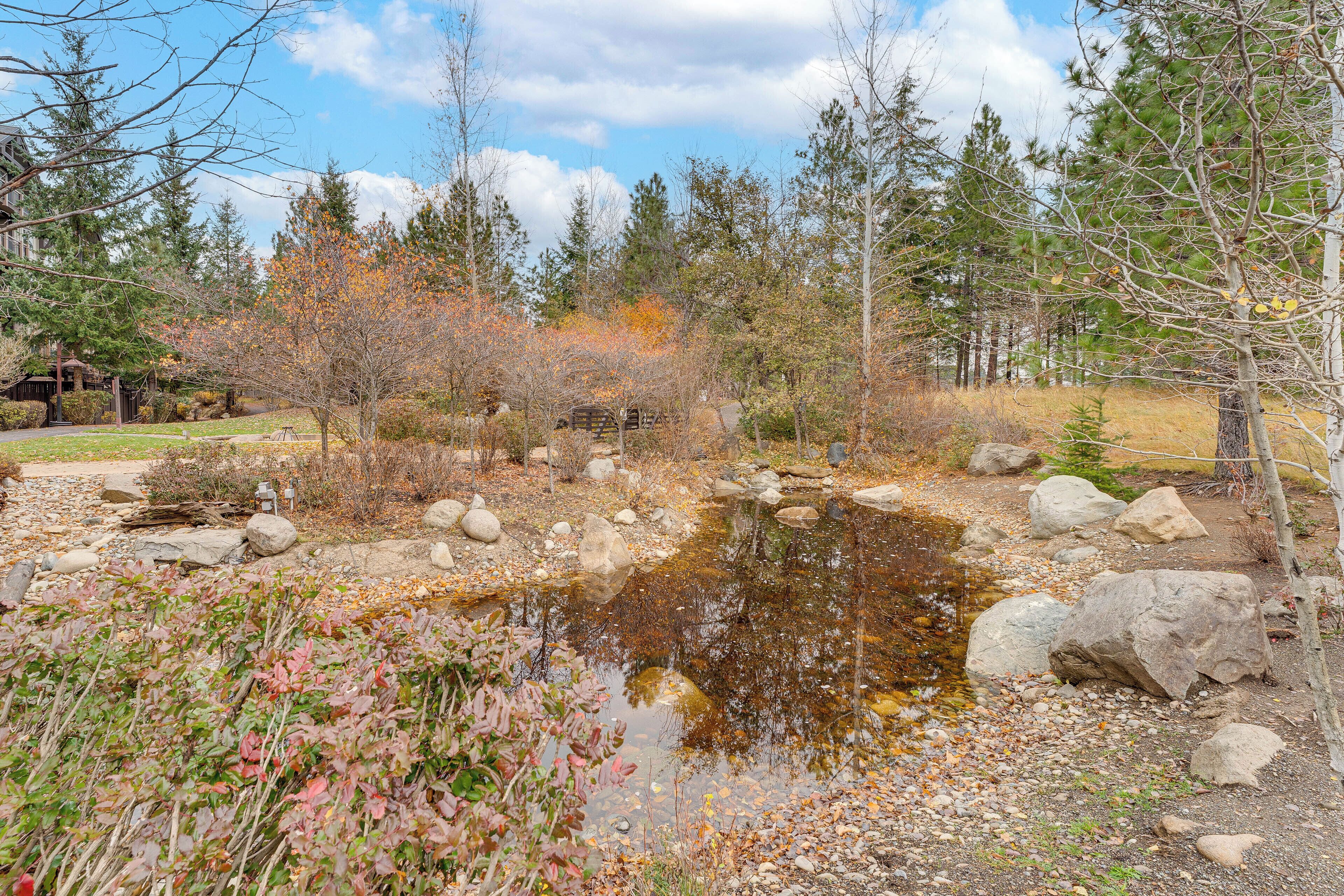 A natural landscape with a pond, rocks, and trees.