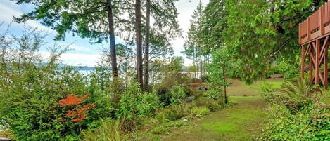 A lush garden with a wooden deck, dense foliage, and a view of the water.