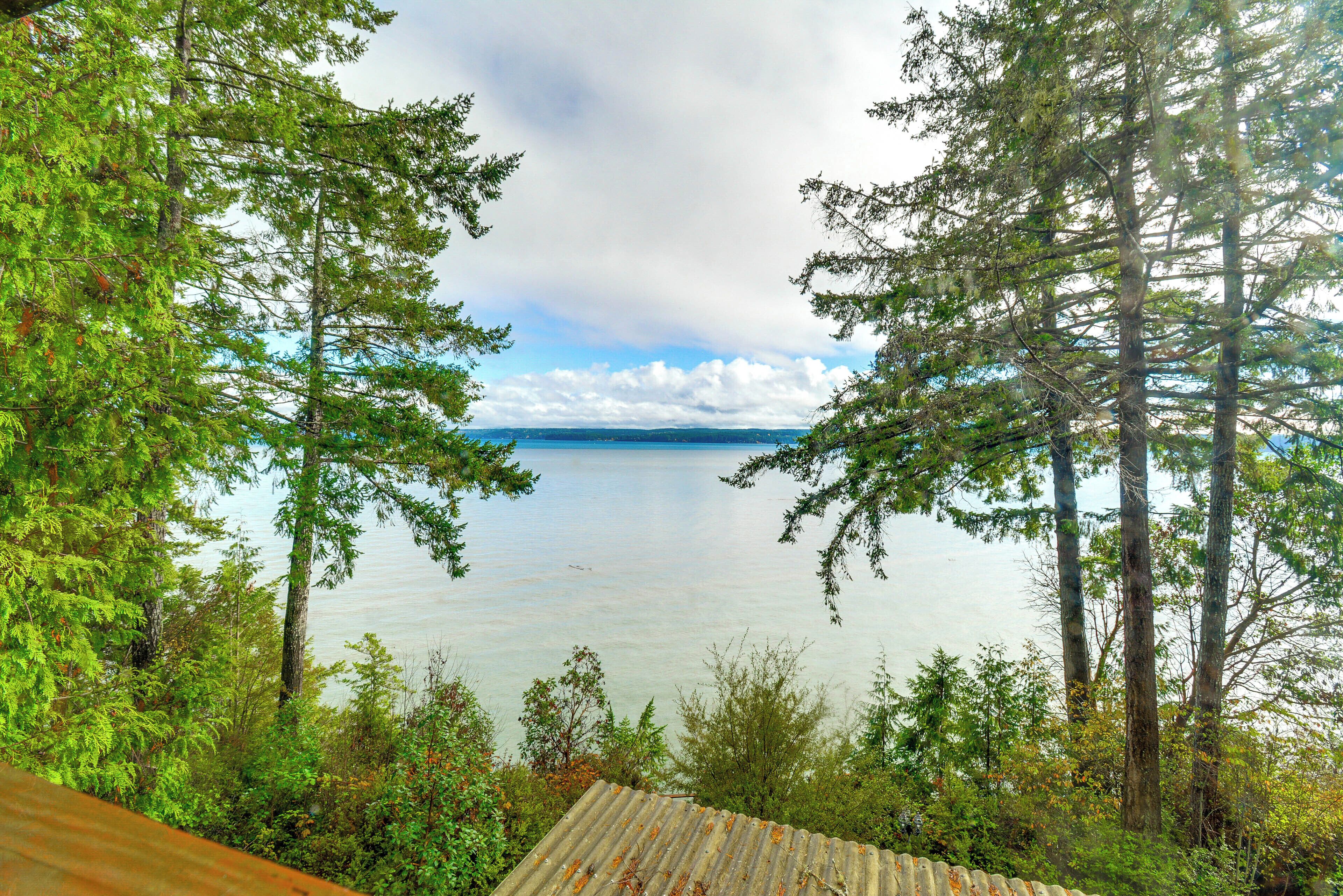A view of a lake surrounded by tall trees and a cloudy sky.