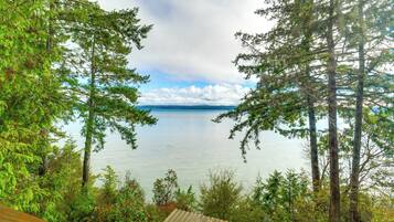 A view of a lake surrounded by tall trees and a cloudy sky.