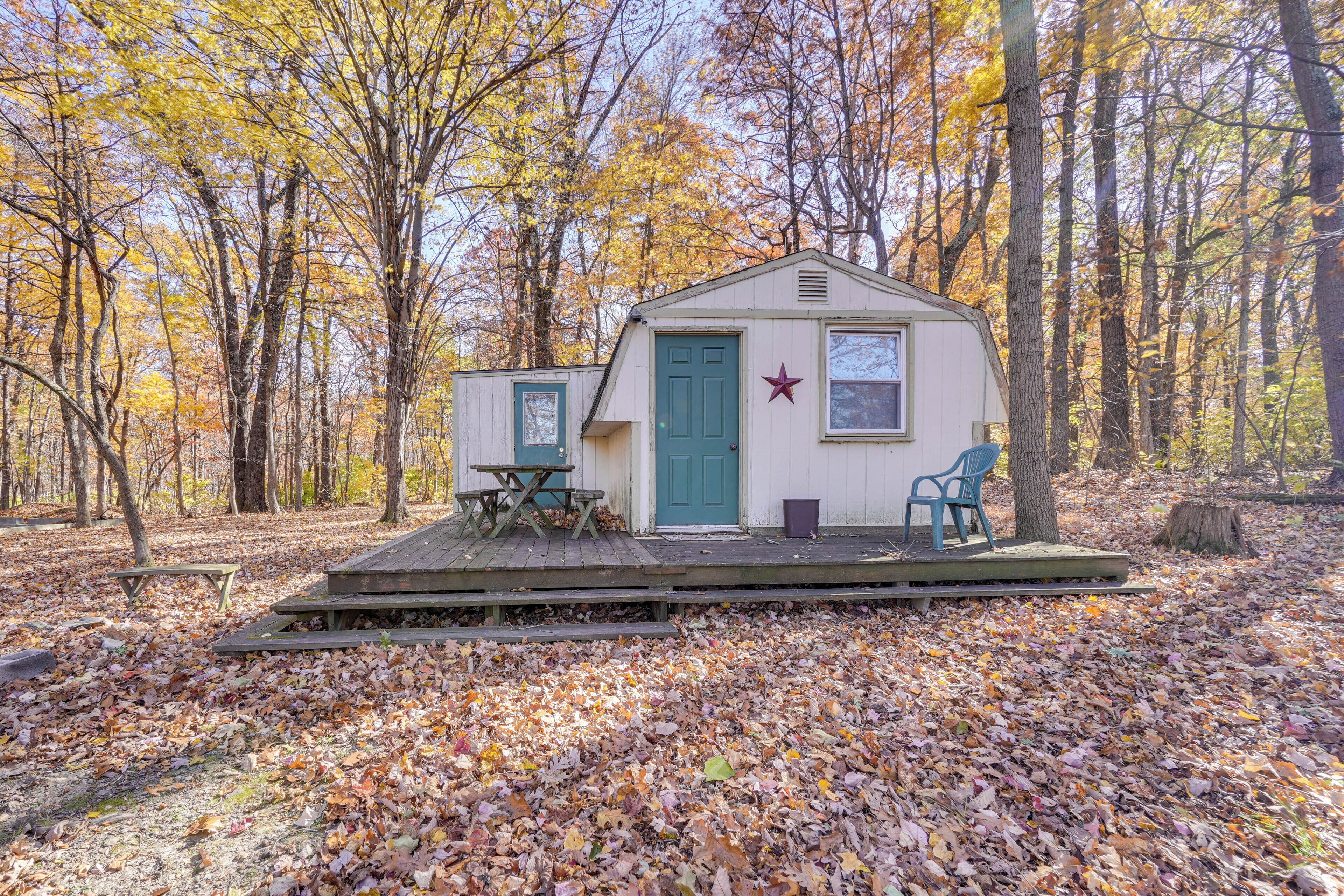 Une petite cabane avec une porte verte et une décoration en forme d’étoile, entourée d’arbres et de feuilles mortes.