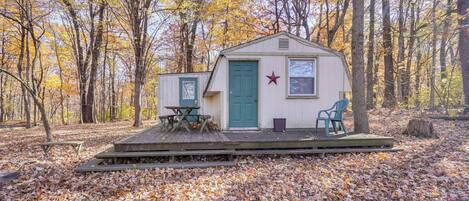 A small cabin with a green door and a star decoration, surrounded by trees and fallen leaves.